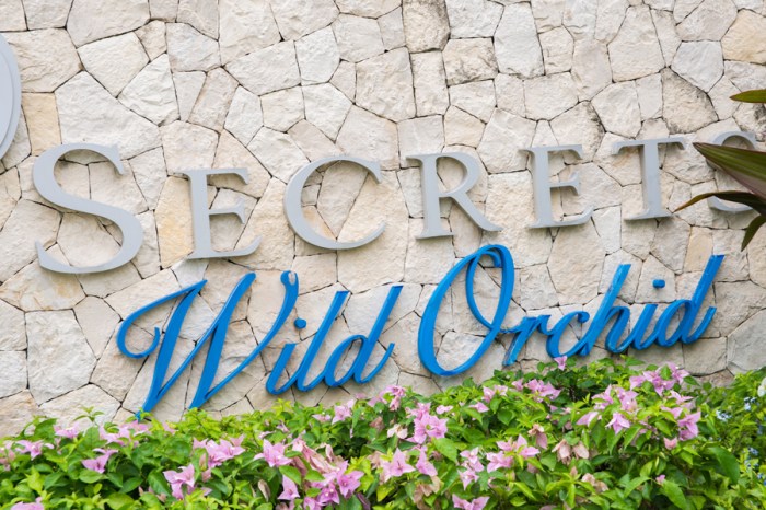 With the Internet having such a big part in our everyday lives, it is only common that you must first do some simple probing to find a good Jamaican photographer